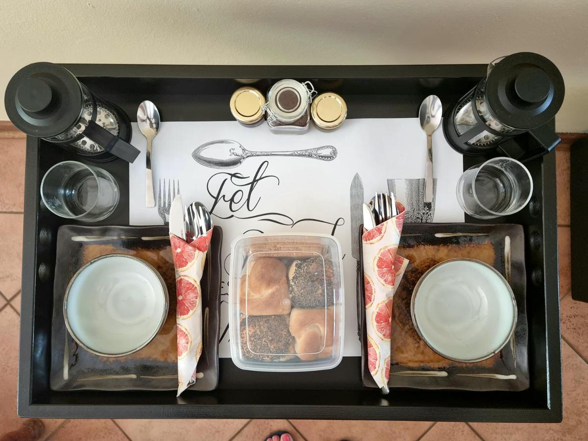 Camelia Guest House Bloemfontein Zewnętrze zdjęcie