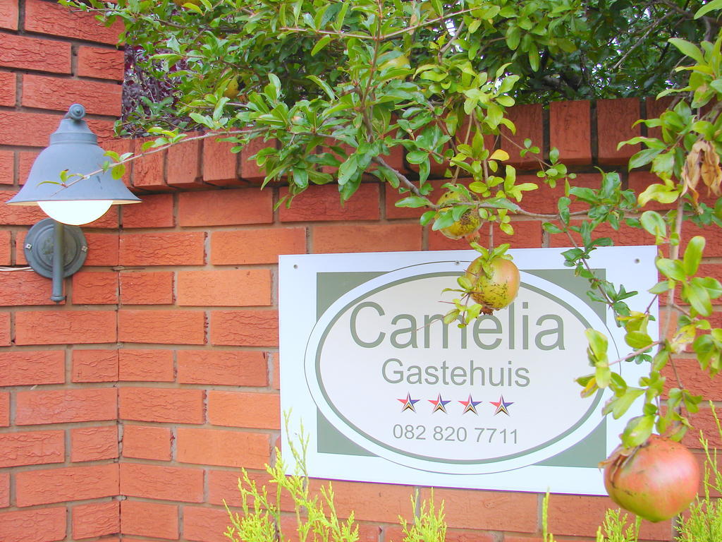 Camelia Guest House Bloemfontein Zewnętrze zdjęcie