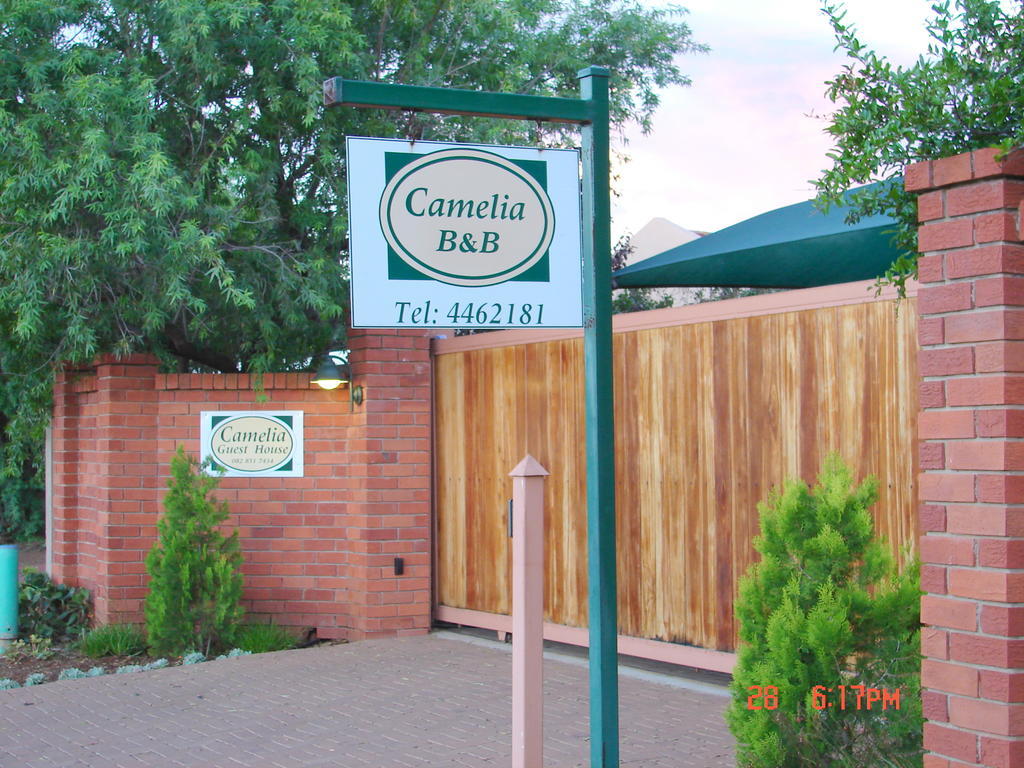 Camelia Guest House Bloemfontein Zewnętrze zdjęcie